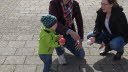  Bild 02