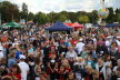  Bild 81